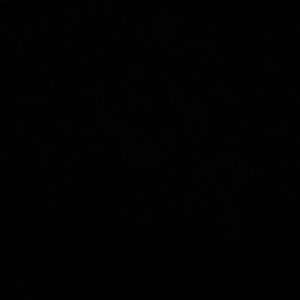 Meet your Posher, Carolina